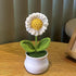 DIY Handwoven Mini Potted Flower – Rose Design