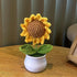 DIY Handwoven Mini Potted Flower – Rose Design