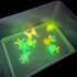 3D Aqua Fairy Gel Toy Kit