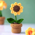 DIY Handwoven Mini Potted Flower – Rose Design