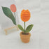 DIY Handwoven Mini Potted Flower – Rose Design