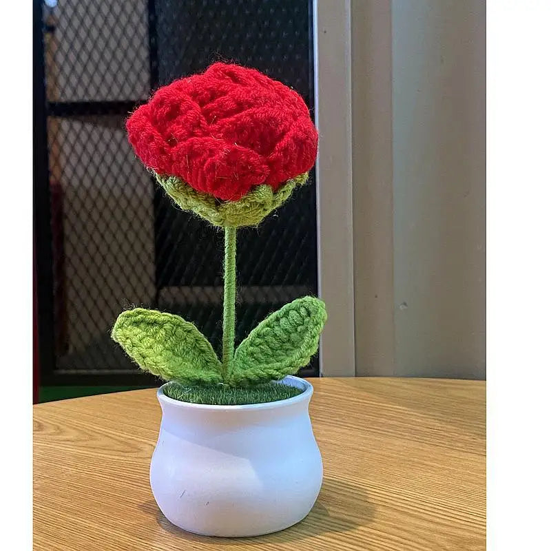 DIY Handwoven Mini Potted Flower – Rose Design