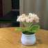 DIY Handwoven Mini Potted Flower – Rose Design