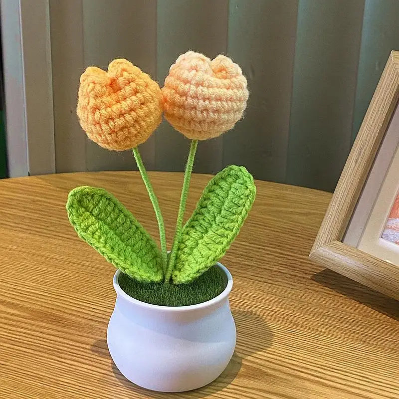 DIY Handwoven Mini Potted Flower – Rose Design