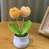 DIY Handwoven Mini Potted Flower – Rose Design