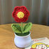 DIY Handwoven Mini Potted Flower – Rose Design
