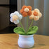 DIY Handwoven Mini Potted Flower – Rose Design