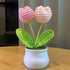 DIY Handwoven Mini Potted Flower – Rose Design