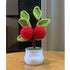 DIY Handwoven Mini Potted Flower – Rose Design