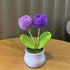 DIY Handwoven Mini Potted Flower – Rose Design