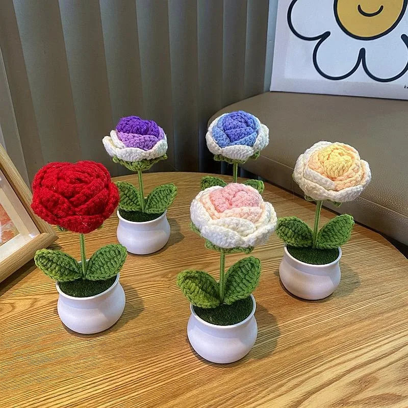 DIY Handwoven Mini Potted Flower – Rose Design