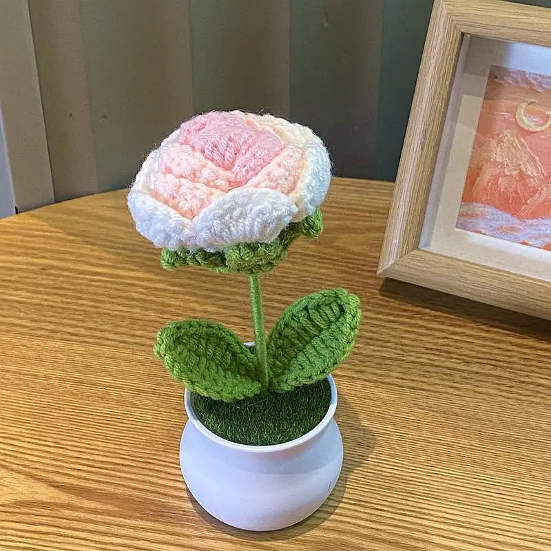 DIY Handwoven Mini Potted Flower – Rose Design