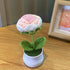DIY Handwoven Mini Potted Flower – Rose Design