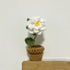 DIY Handwoven Mini Potted Flower – Rose Design
