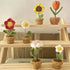 DIY Handwoven Mini Potted Flower – Rose Design